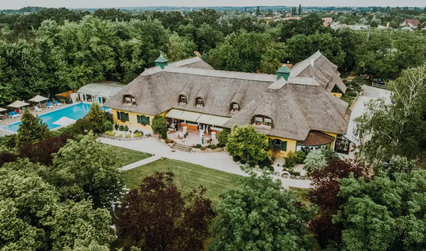 Nyerges Hotel Term�l Monor - H�sv�t 