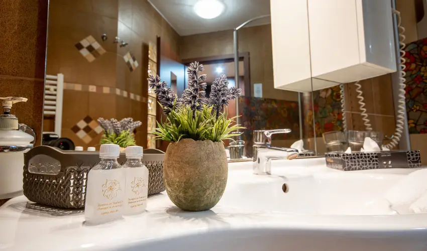 Nyerges Hotel Term�l Monor - H�sv�t 