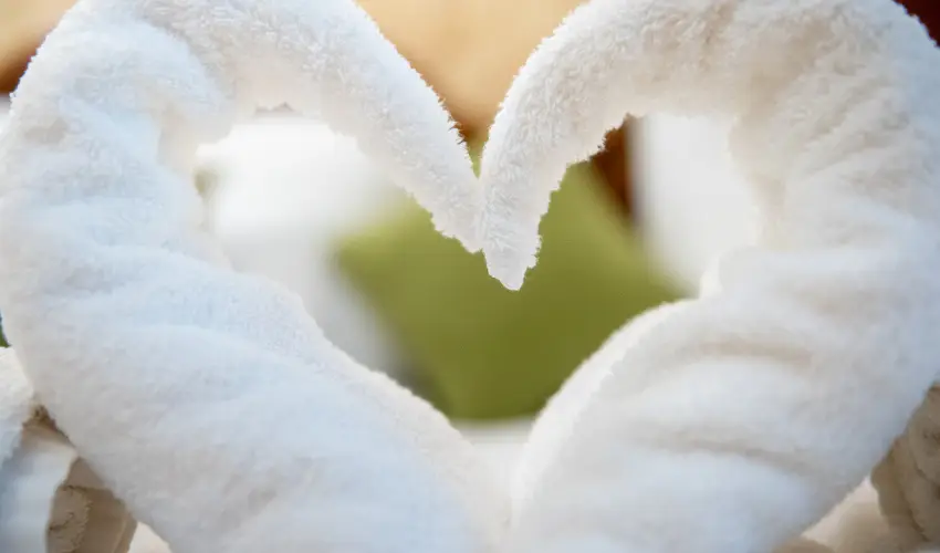 Nyerges Hotel Term�l Monor - H�sv�t 