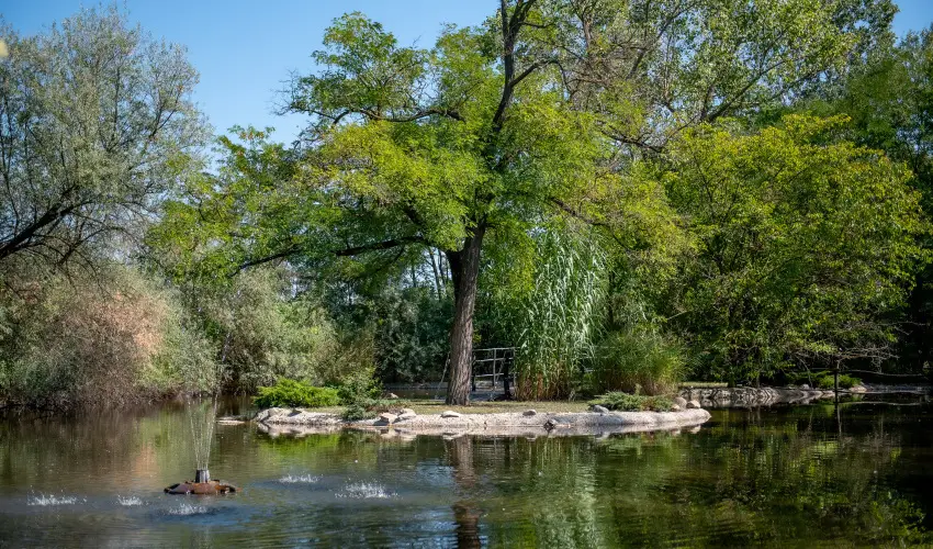 Nyerges Hotel Term�l Monor - H�sv�t 