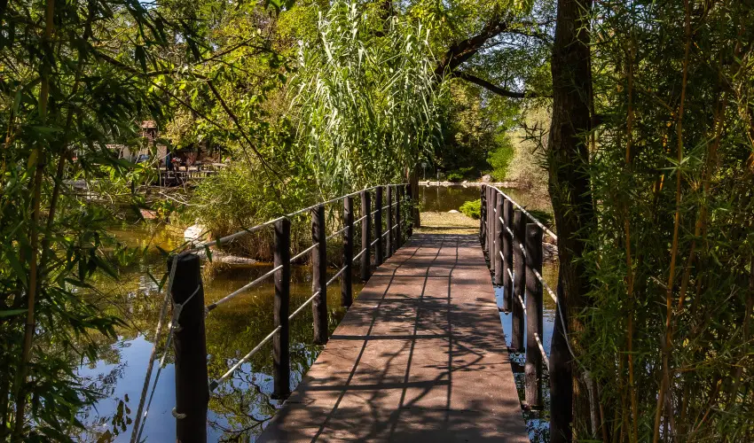 Nyerges Hotel Term�l Monor - H�sv�t 