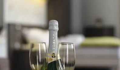 Ozis Wellness Panzi Szigetszentmikls