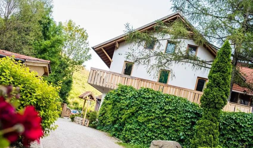 ko-Park Panzi Szarvask - Hsvt (min. 3 j)