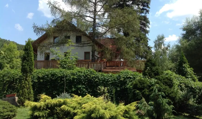 ko-Park Panzi Szarvask - Hsvt (min. 3 j)