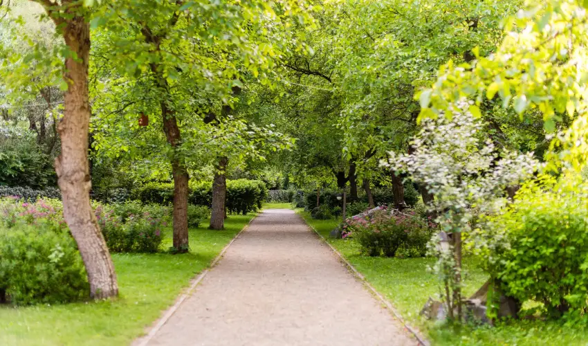 ko-Park Panzi Szarvask - Hsvt (min. 3 j)