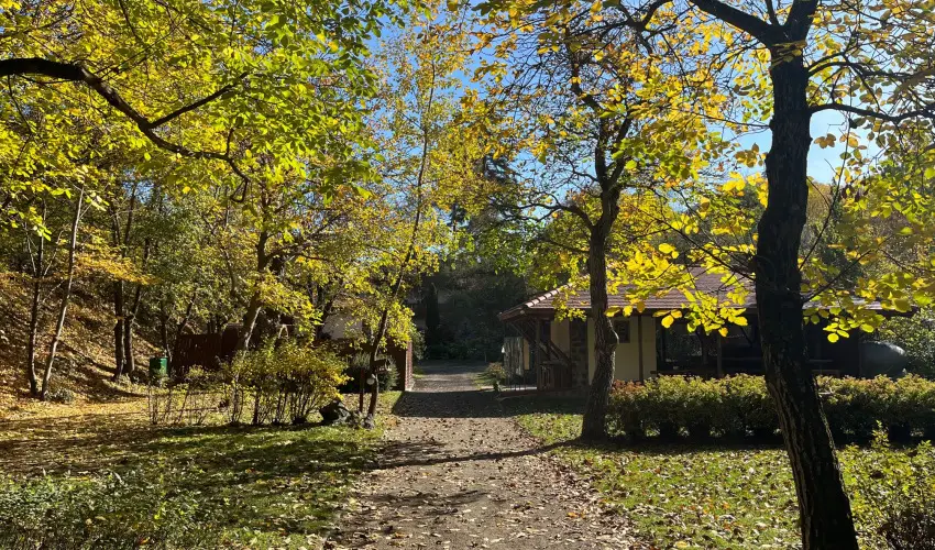 ko-Park Panzi Szarvask - Hsvt (min. 3 j)