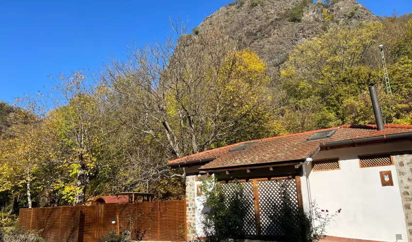 ko-Park Panzi Szarvask - Hsvt (min. 3 j)