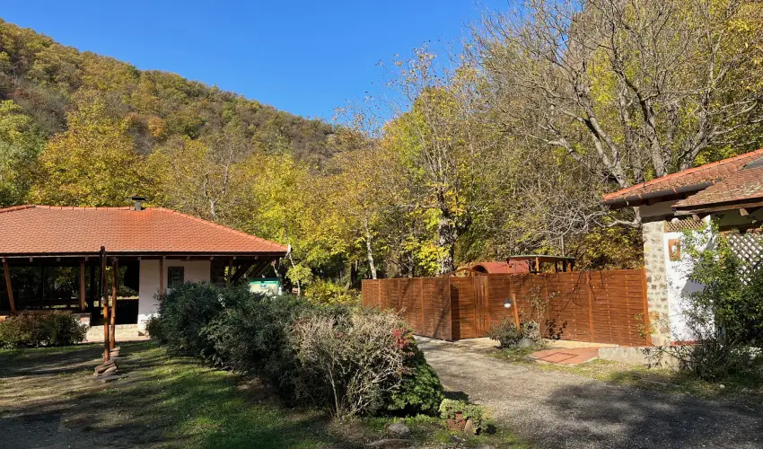 ko-Park Panzi Szarvask - Hsvt (min. 3 j)