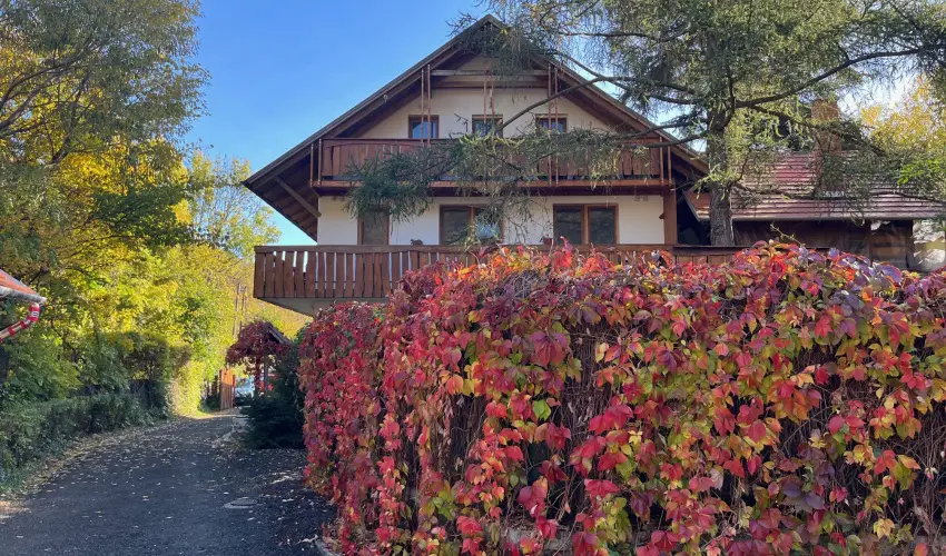 ko-Park Panzi Szarvask - Hsvt (min. 3 j)