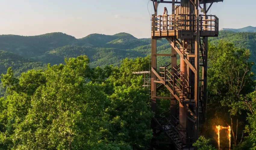 ko-Park Panzi Szarvask - Hsvt (min. 3 j)