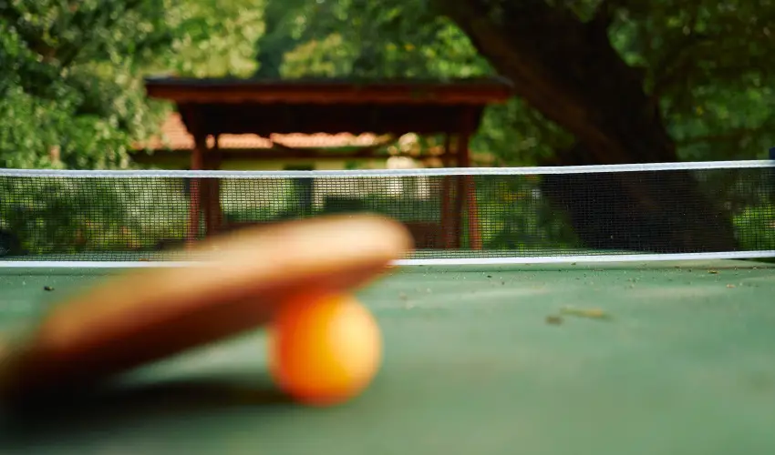 ko-Park Panzi Szarvask - Hsvt (min. 3 j)