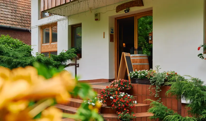 ko-Park Panzi Szarvask - Hsvt (min. 3 j)