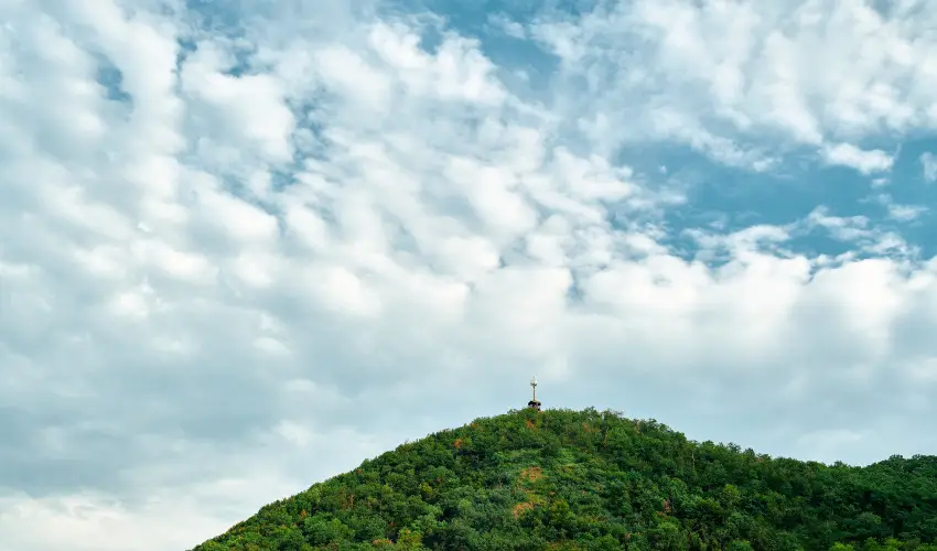 ko-Park Panzi Szarvask - Hsvt (min. 3 j)