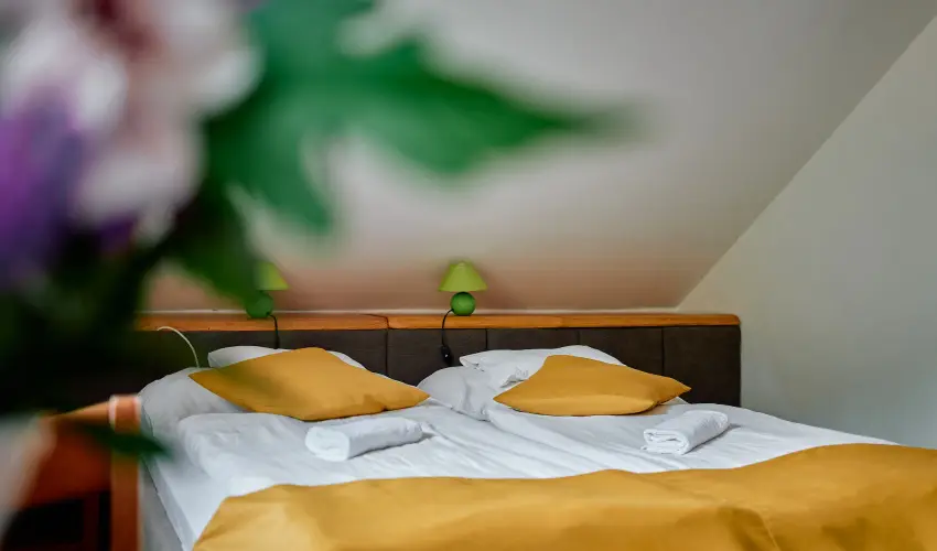 ko-Park Panzi Szarvask - Hsvt (min. 3 j)