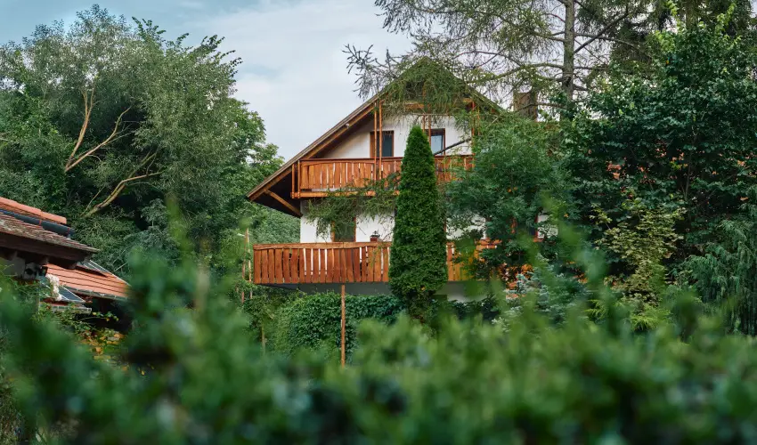 ko-Park Panzi Szarvask - Hsvt (min. 3 j)