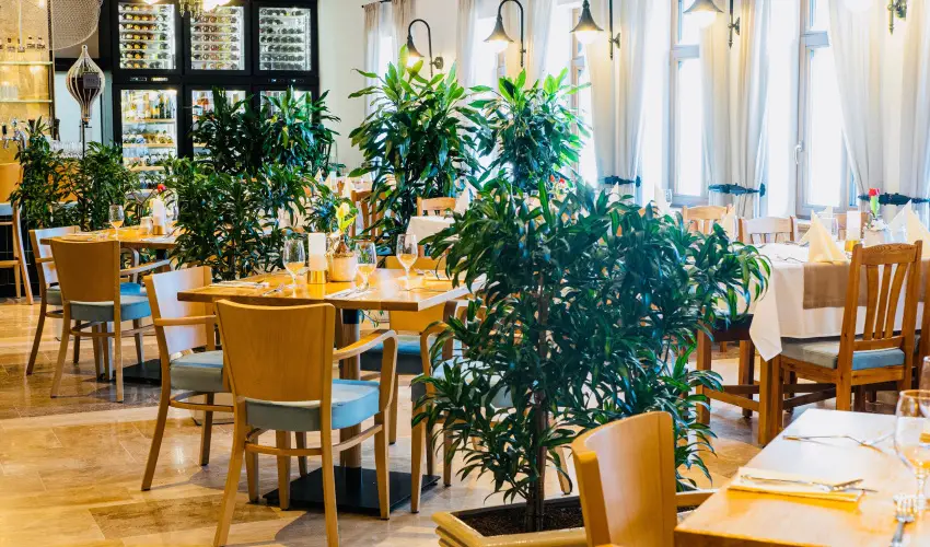 reg Halsz tterem s Fogad Tt - Hsvt 