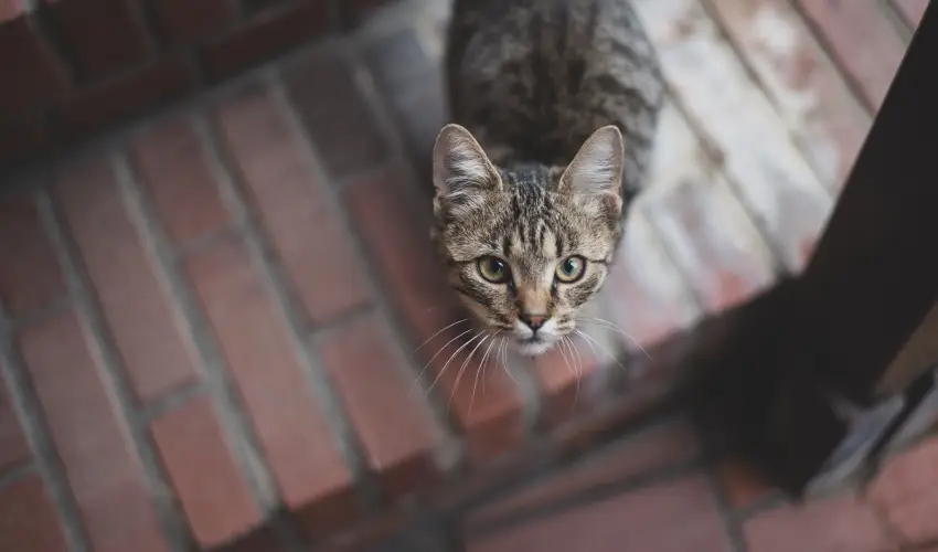 reg Prs Butikhotel Mr - Hsvt 