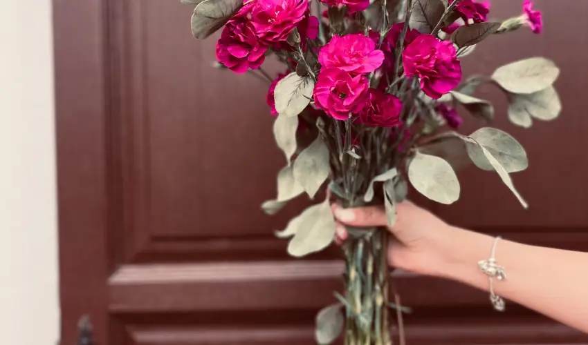 reg Prs Butikhotel Mr - Hsvt 