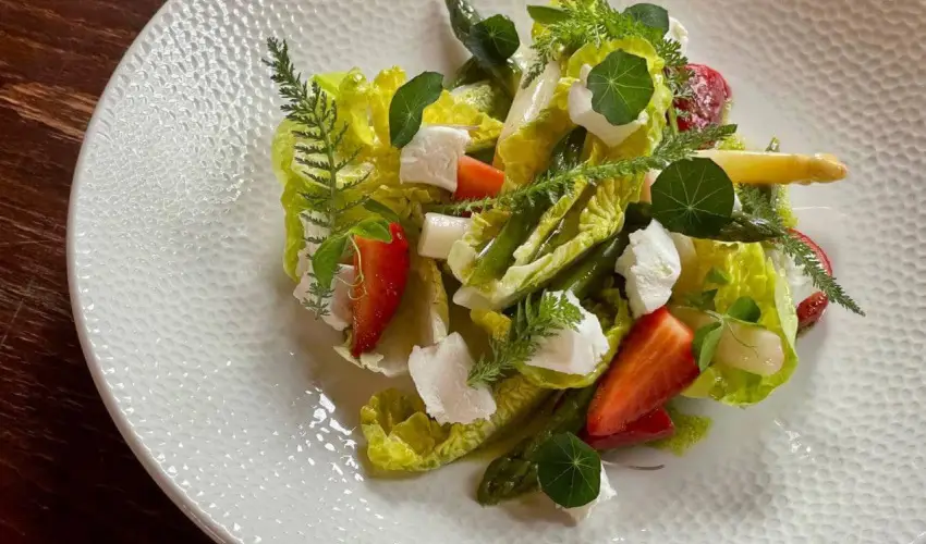 reg Prs Butikhotel Mr - Hsvt 