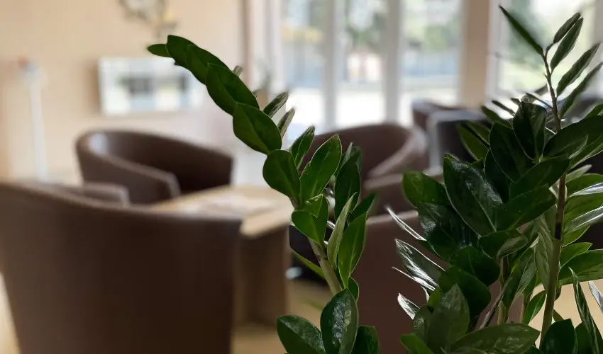 reg-t Hotel Tata - Hsvt 