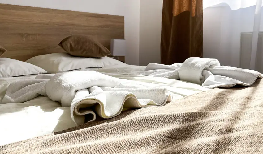 reg-t Hotel Tata - Hsvt 