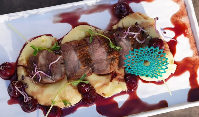 reg-t Hotel Tata - Hsvt 