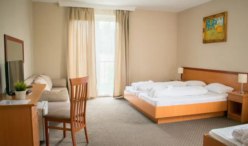 P4W Hotel Residence Szombathely Szombathely - H�sv�t 