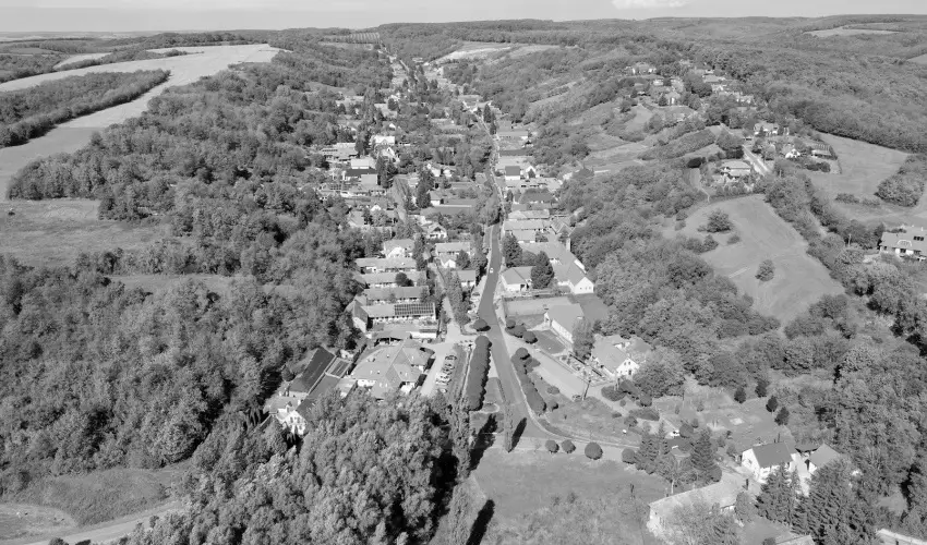 Pfrny Vendghz Szlka - Hsvt (min. 2 j)