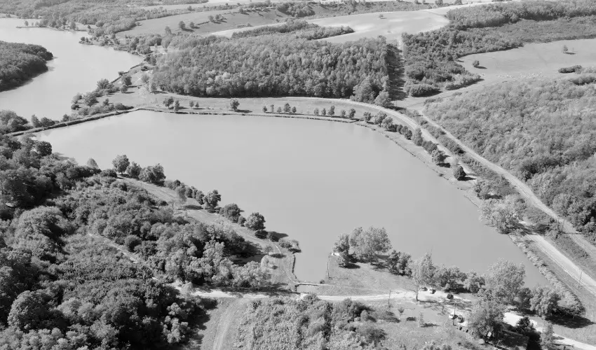 Pfrny Vendghz Szlka - Hsvt (min. 2 j)