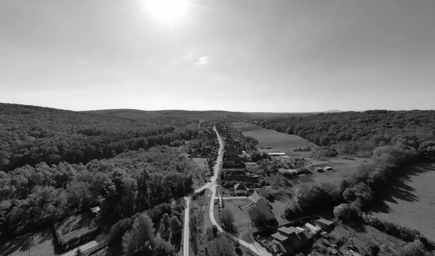 Pfrny Vendghz Szlka - Hsvt (min. 2 j)