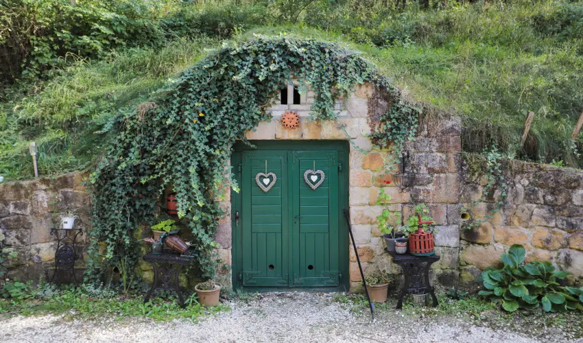 Palcliget Vendghz Ktbodony - Hsvt