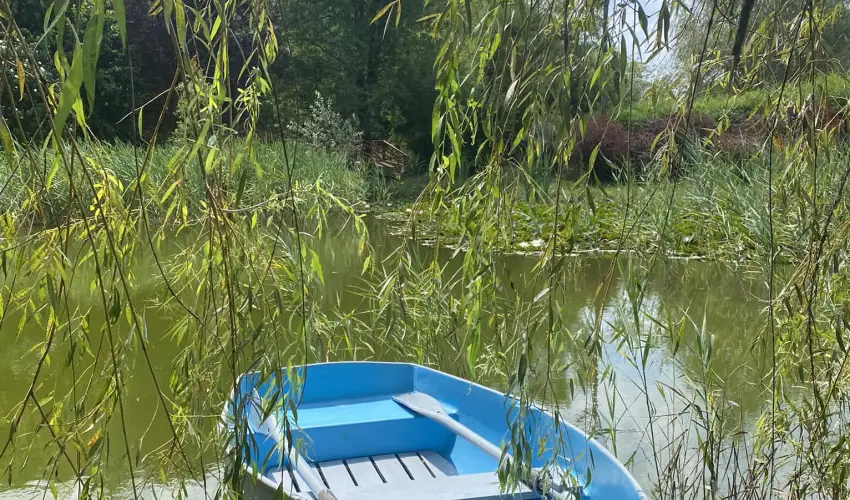 Palcliget Vendghz Ktbodony - Hsvt