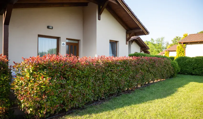 Pandora Zsry Apartmanok Mezkvesd - Hsvt 