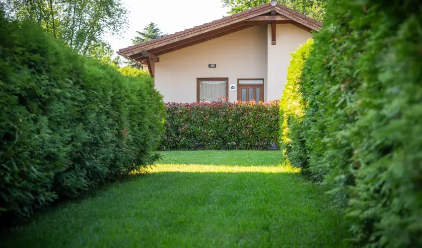 Pandora Zsry Apartmanok Mezkvesd - Hsvt 