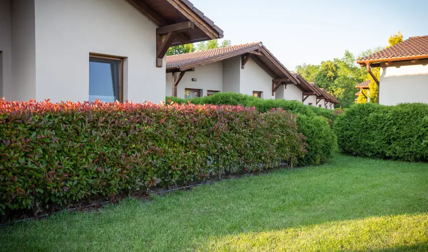 Pandora Zsry Apartmanok Mezkvesd - Hsvt 