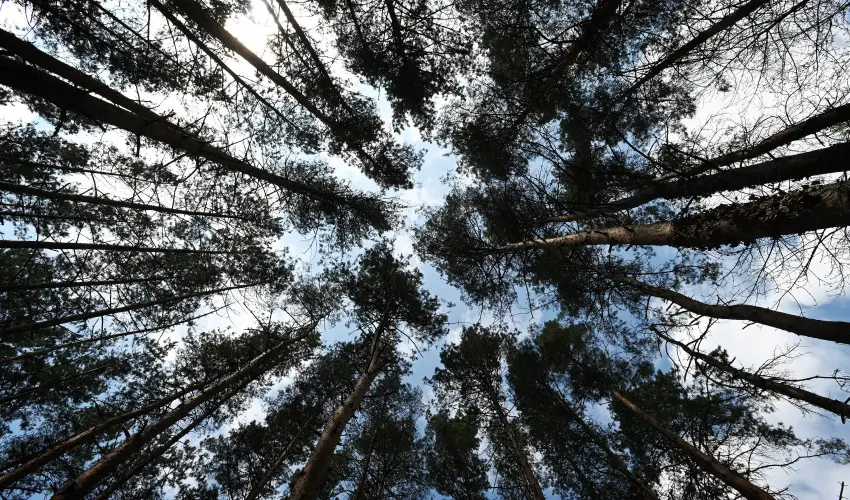 Panorma Hotel Noszvaj Noszvaj - Hsvt (min. 2 j)