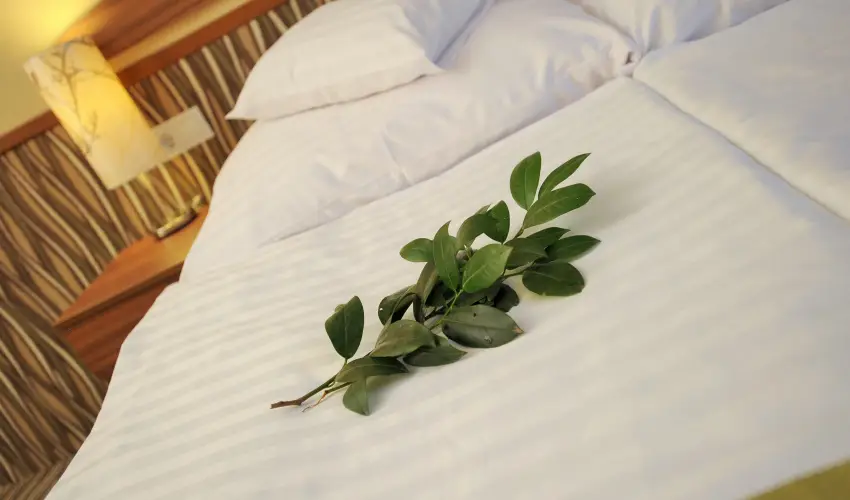 Park Hotel Gyula Gyula - Hsvt (min. 3 j)