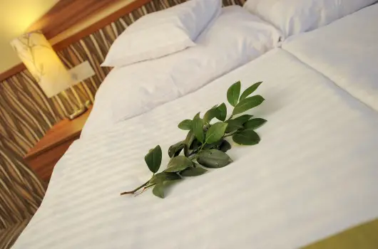 Park Hotel Gyula - Hsvt (min. 3 j)