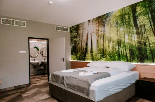 Park Hotel S�st� - H�sv�t - teljes el�refizet�ssel