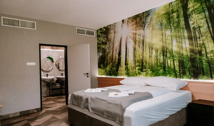 Park Hotel Sst Nyregyhza - Hsvt - teljes elrefizetssel (min. 2 j)