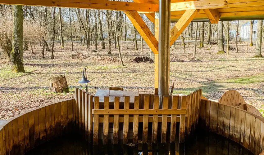 Park Hotel Sst Nyregyhza - Hsvt - teljes elrefizetssel (min. 2 j)