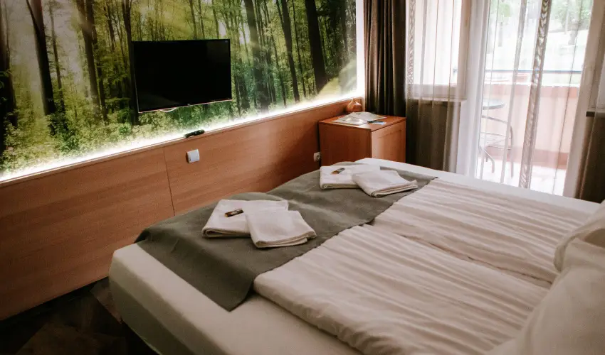 Park Hotel Sst Nyregyhza - Hsvt - teljes elrefizetssel (min. 2 j)