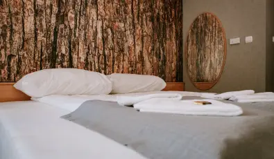 Park Hotel Sst Nyregyhza