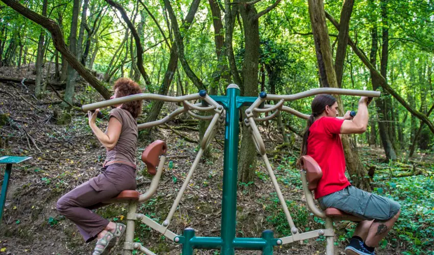 Patak Park Hotel Visegr�d - H�sv�t