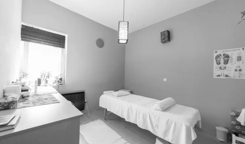 Pelso Panzi� Balatonm�riaf�rd� - H�sv�t - teljes el�refizet�ssel