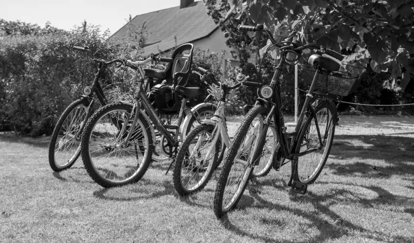 Pelso Panzi� Balatonm�riaf�rd� - H�sv�t - teljes el�refizet�ssel