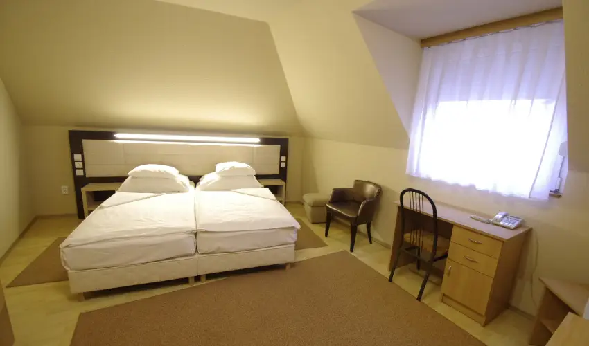 Hotel Vad�szk�rt Sz�kesfeh�rv�r - H�sv�t