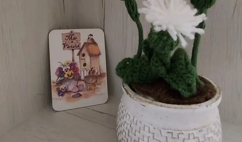 Pitypang Apartman Eger - Hsvt