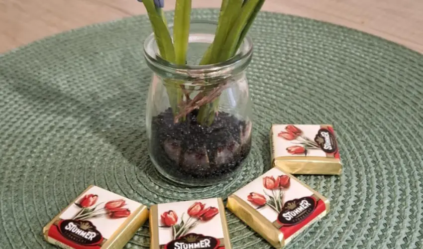 Pitypang Apartman Eger - Hsvt