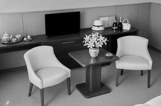 Pl�za Hotel Gyula - H�sv�t